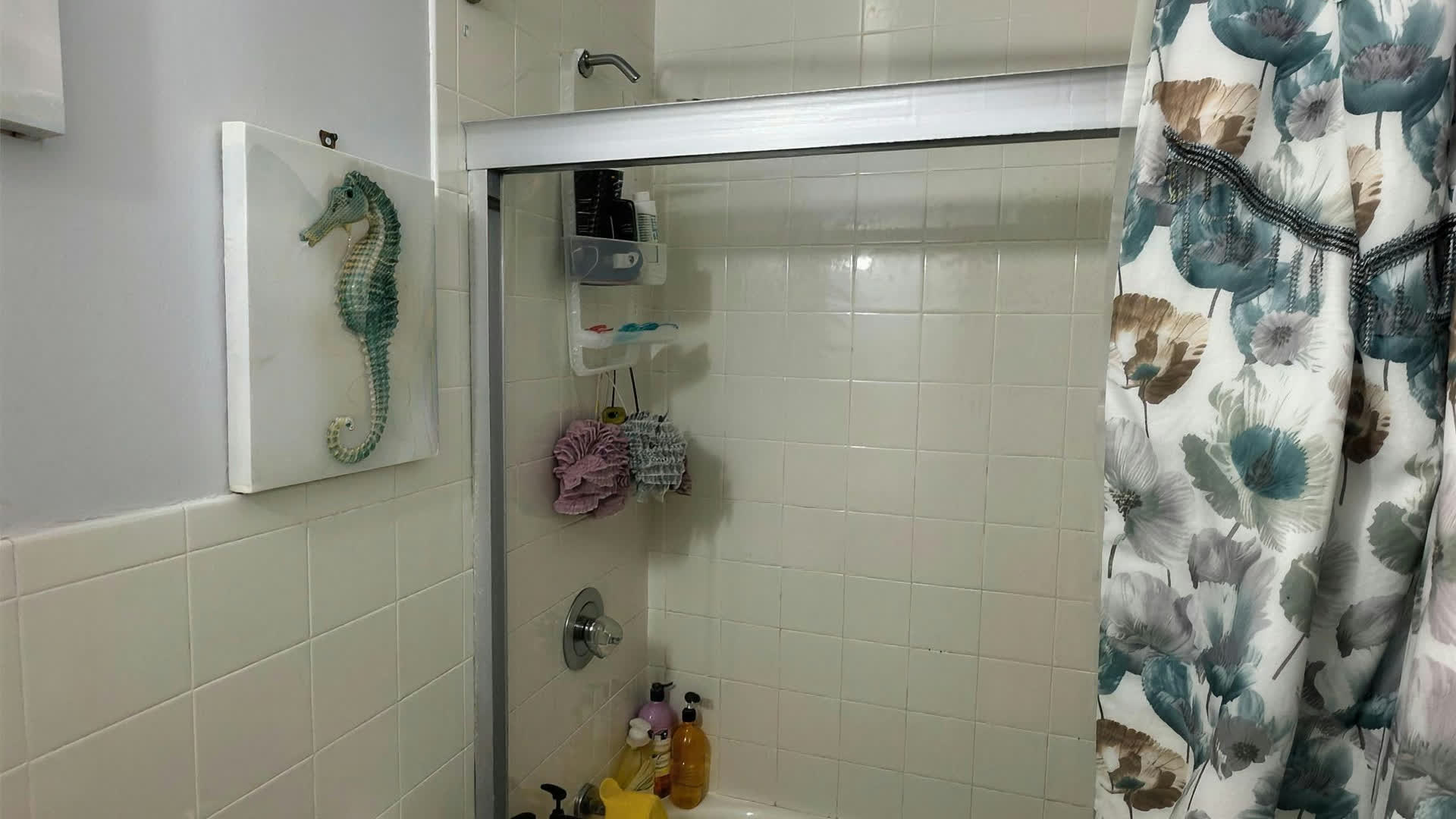 Real ARCED bathroom renovation — before, facing the dated tub and shower